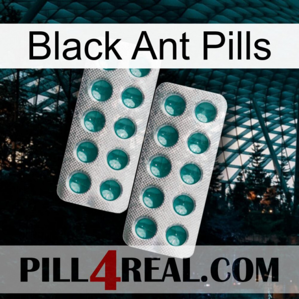 Black Ant Pills dapoxetine2.jpg